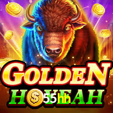 55hh