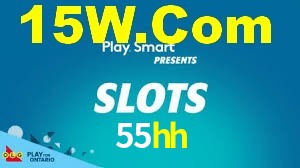 55hh.com